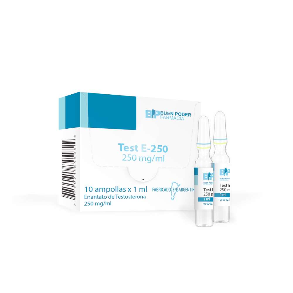 Test-E-250-bauenpoder-2.jpg