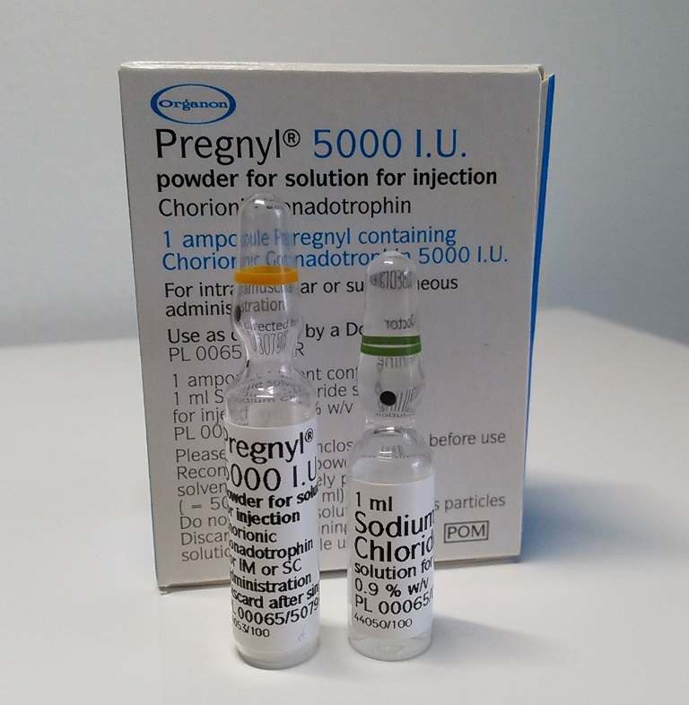 hcg-pregnyl-5000-iu-kaufen-1-3.jpg