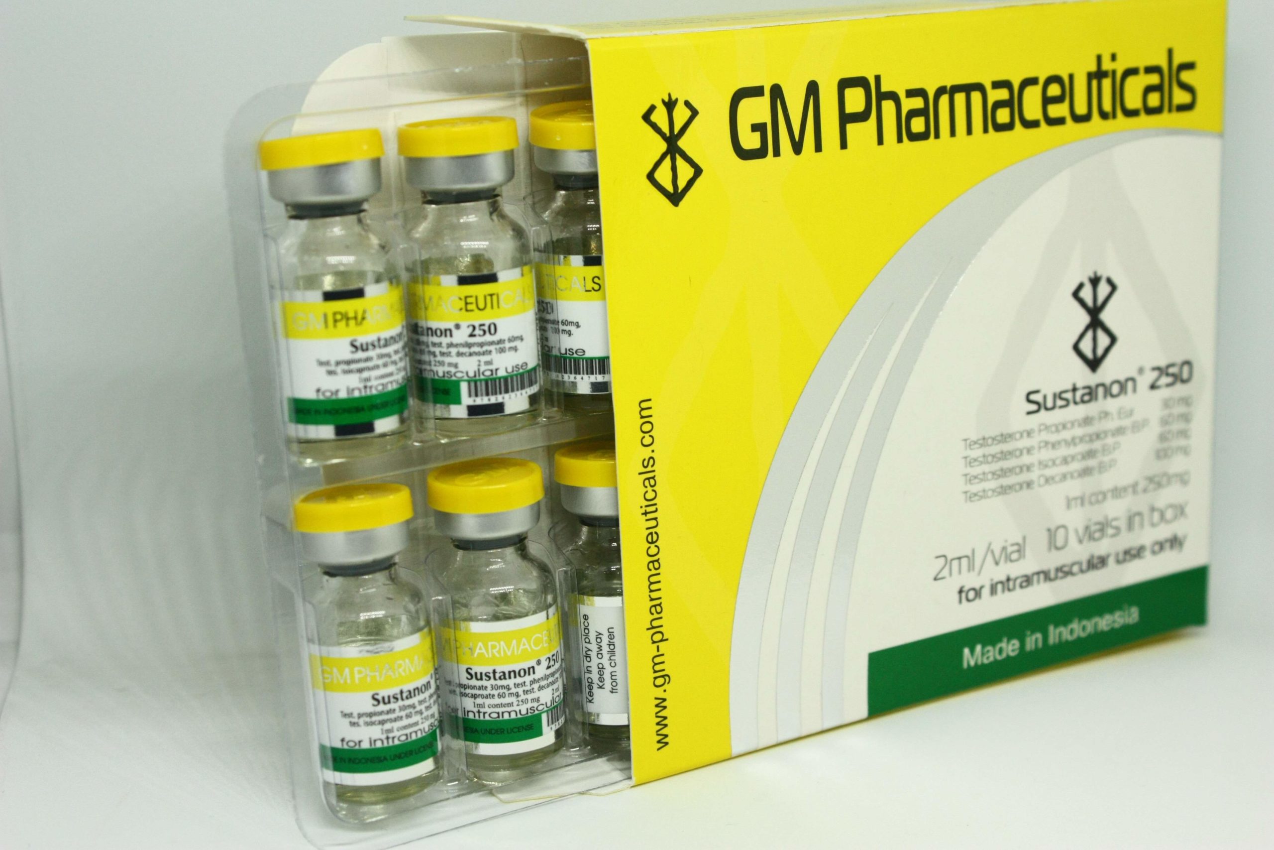sust-gm-2-1-scaled-1-2.jpg
