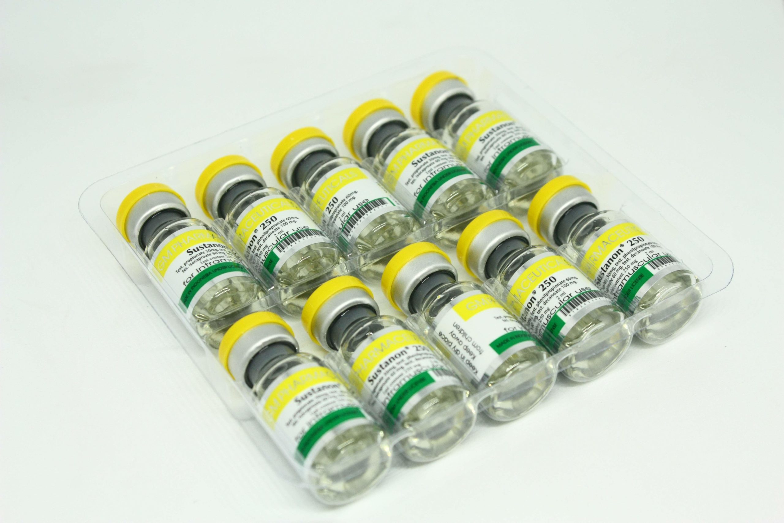 sust-gm-3-1-scaled-1-2.jpg