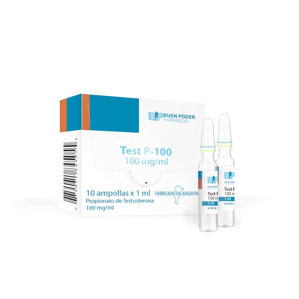 test-p-100-bauenpoder-2.jpg