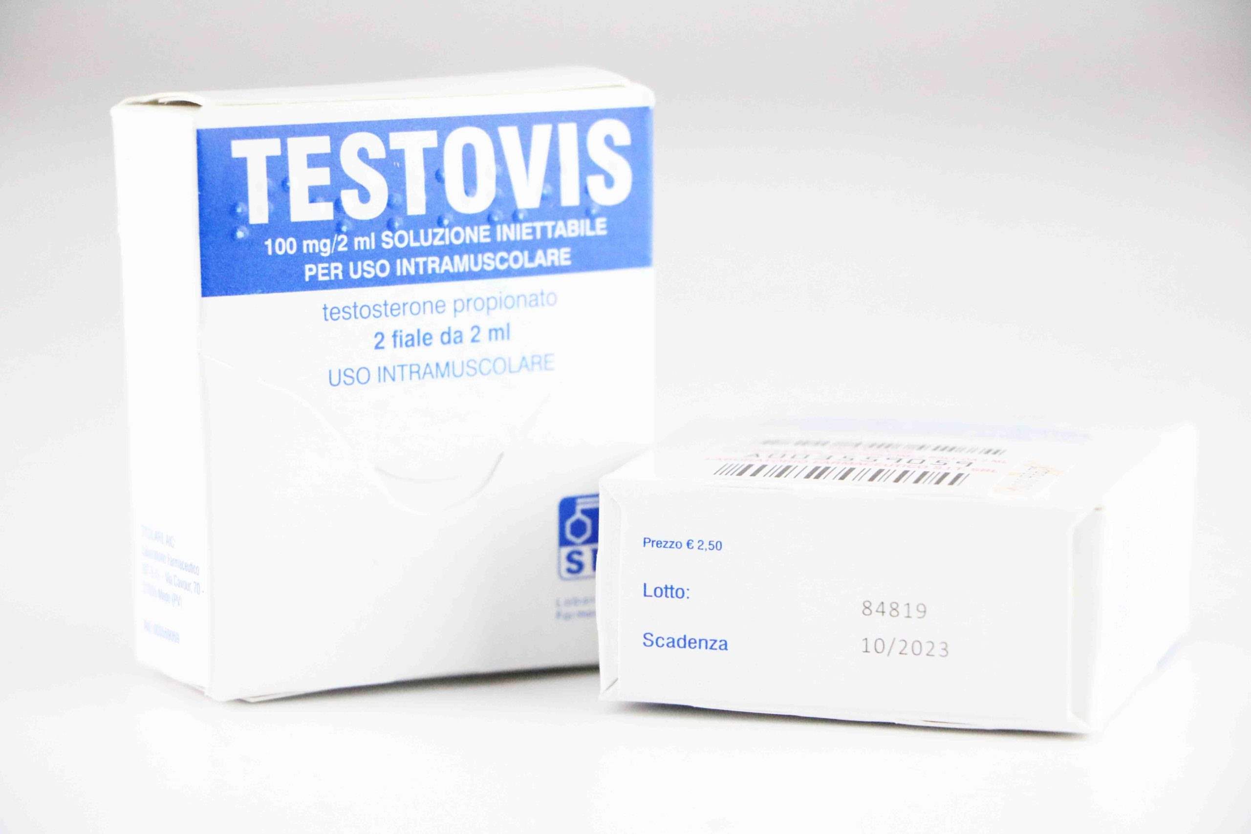 testovis-scaled-1-2.jpg