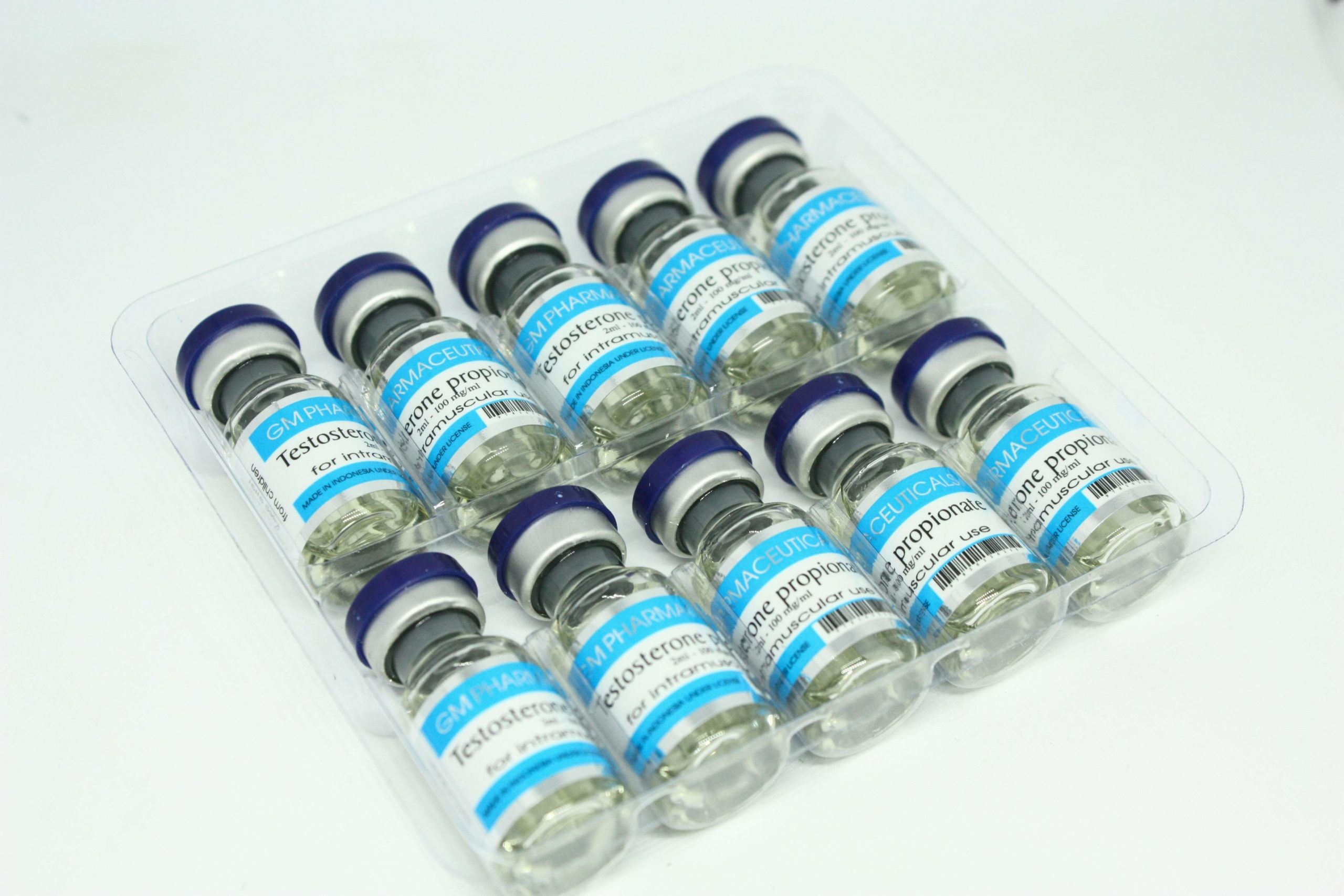 testp-gm-3-1-scaled-1-2.jpg